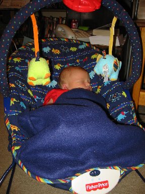 Day 7 - Dad put the bouncer together